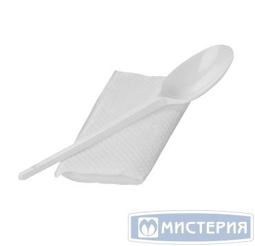 Комплект столовых приборов №2 [лож.ст. 165 мм, бел., ПС+ салф.], 400 шт/кор 400 шт/упак РОССИЯ 501224