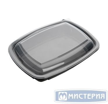 Контейнер прямоугольный 230х170х37мм, 700 мл, чёрный